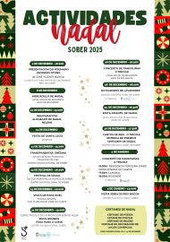 Actividades de Nadal  (6)