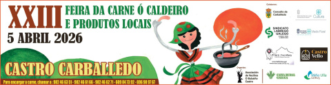 Feira da carne ó caldeiro (Castro Carcalledo) (0)
