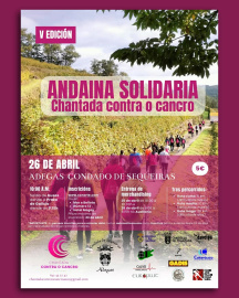 Andaina solidaria en Chantada (0)