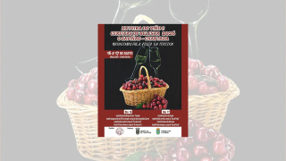 XX Feria del Vino y Cerezas de Belesar 2026