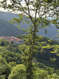 Mesón San Roque (7).jpeg