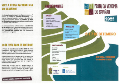 Fiesta Vendimia O Saviñao (0)