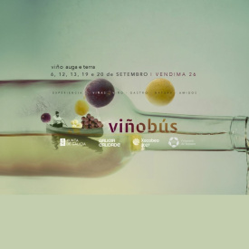 Viñobús Vendimia 2026