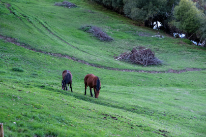 MiradorMontederramo-1-8.jpg