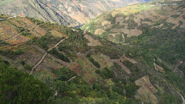 BTT - Circular de Parada
