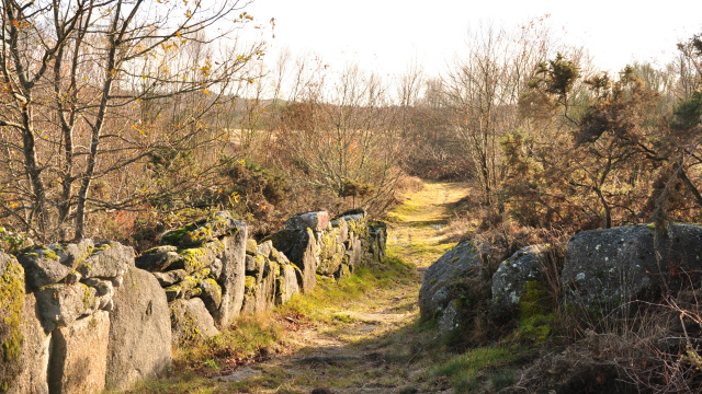 BTT - Maquino Largaño