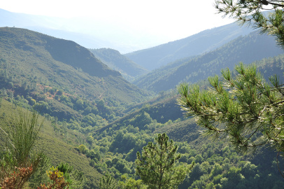 DSC_0556.jpg