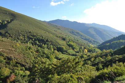 DSC_0474.jpg