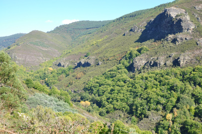 DSC_0462.jpg