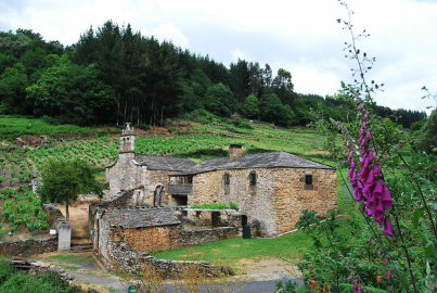 San Facundo de Ribas de Miño.jpg