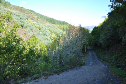 DSC_0417.jpg