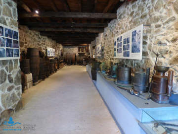 Sala viticultura tradicional