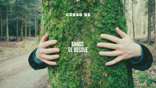 Curso de Baños de Bosque Curso de Baños de Bosque