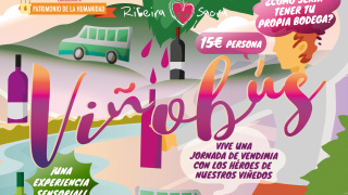Viñobús vendimia 2019 Viñobús vendimia 2019
