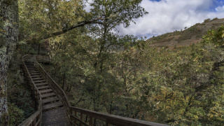 ARI RIBEIRA SACRA ARI RIBEIRA SACRA