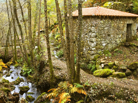 Molinos del Xabrega