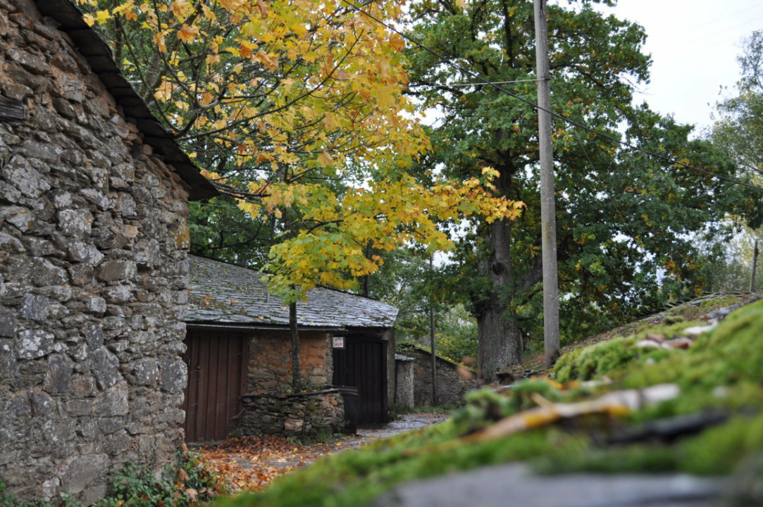 Ribeira Sacra Bodegas de Vilachá
