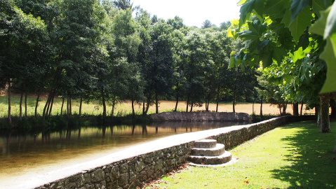 Sangoñedo (1)