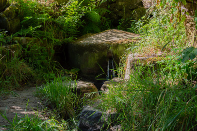 Fuente de Piñeira (1)