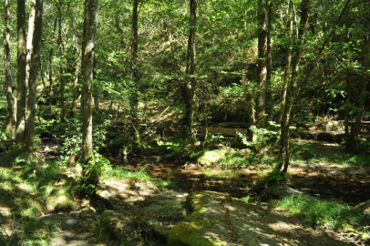 Area Fluvial Saa (5).JPG