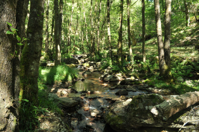 Area Fluvial Saa (13).JPG