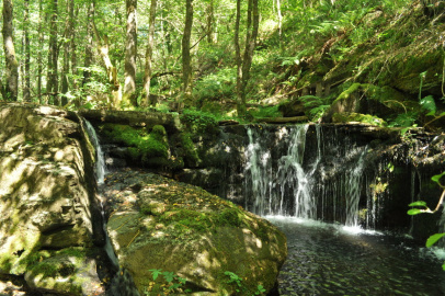 Area Fluvial Saa (9).JPG