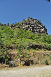 Area FLuvial Saaa.JPG