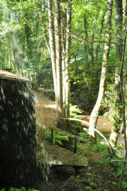 Ferrería de Penacova (9).JPG