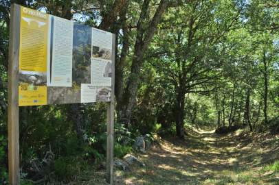 Ponte de Conceliñas (2).JPG