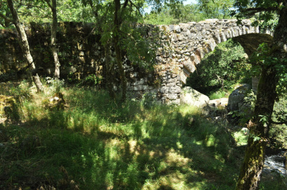 Ponte de Conceliñas (11).JPG