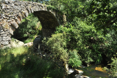 Ponte de Conceliñas (5).JPG