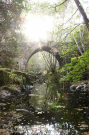 Ponte de Lumeares (6).jpg