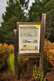 Ruta do Ouro e Camiño Real (3).jpg