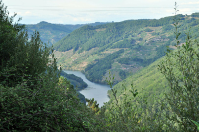 Mirador de Terra Branca (3).JPG