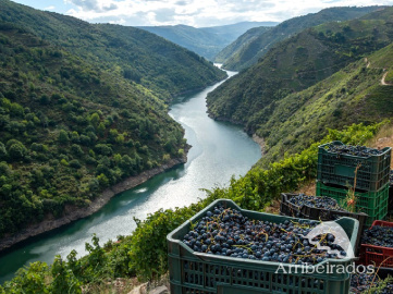 Ribeira Sacra Doade Arribeirados.png