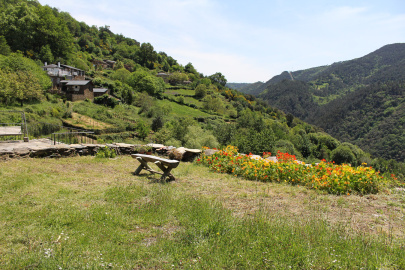 CasaMica-3.jpg