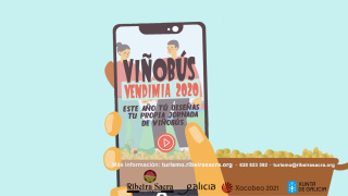 Viñobús Vendimia 2020 Viñobús Vendimia 2020